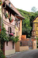 Fototapeta na wymiar Promenade en Alsace