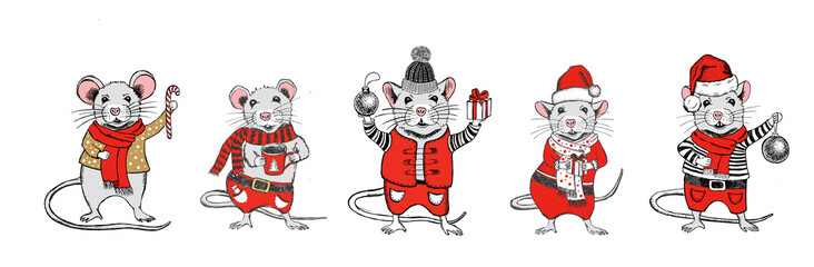 Mouse vector hand drawn illustration. New Year card.
