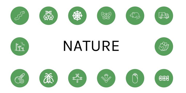 Set of nature icons such as Worm, Cloning, Spider web, Butterfly, Rat, Garbage, Herbal, Moth, Leak, Trap, Corn, Leaves, Plant tree, Bee , nature
