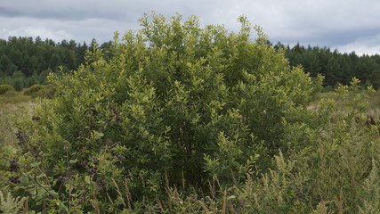 village, countryside, hamlet