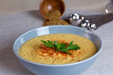 Vegan ACV Probiotic Hummus Paprika