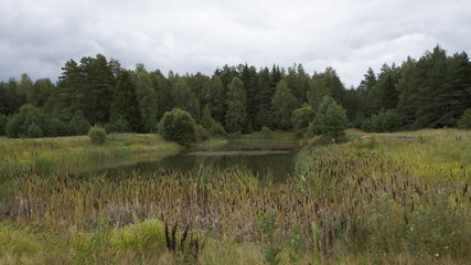 village, countryside, hamlet