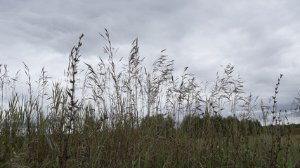 village, countryside, hamlet