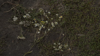 village, countryside, hamlet