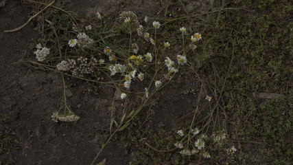 village, countryside, hamlet