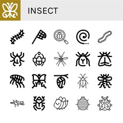 Set of insect icons such as Butterfly, Scolopendra, Butterfly net, Bug, Mosquito coil, Centipede, Acari, Beetle, Mosquito, Mite, Moth, Flea, Cocoon, Cockroach, Bee, Grasshopper , insect