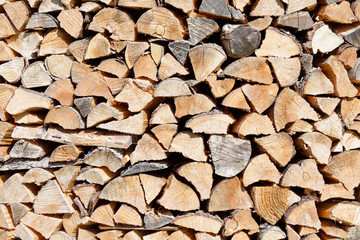 Cut firewood pile
