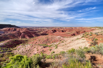Obraz premium The Painted Desert in Petrified Forest National Park