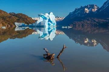 Photo sur Plexiglas Cuernos del Paine A dead branch and giant iceberg reflection in Lago Grey (Grey Lake) near the Grey Glacier, Torres del Paine national park, Puerto Natales, Patagonia, Chile.