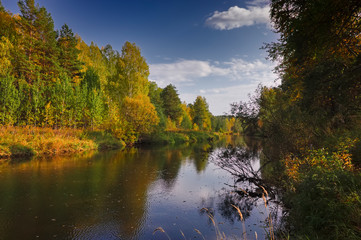 Autumn landscape on the banks of a forest river on a sunny warm day.