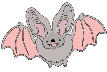 Cute bat on a white background. Cartoon character. Vector illustration