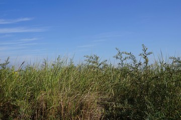 Sonnige D&uuml;nenlandschaft an der Ostsee in der L&uuml;becker Bucht