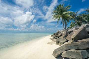 Tropical island with palm trees and white sand beach