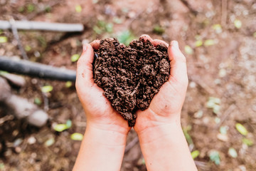 Child's hand holds a handful of fertile soil.
