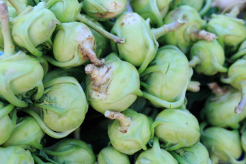 Detail shot of Kohlrabi at a farmer's market