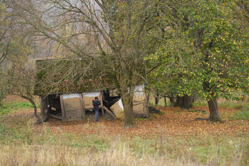 Obraz premium bench in the park