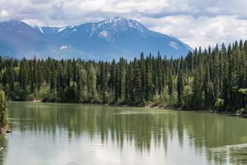 Fototapeta na wymiar Reflection of trees on the lake