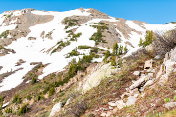 Snow mountain peak view and pine trees snow at Linkins Lake trail on Independence Pass in rocky mountains near Aspen, Colorado in early summer of 2019