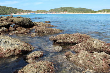 Fototapeta na wymiar pedras mar