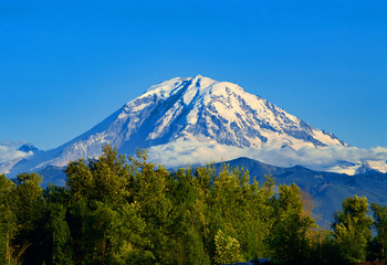 Mt Rainier in Summertime