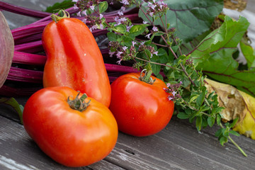 Tomates de saison et origan