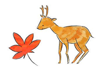紅葉と鹿