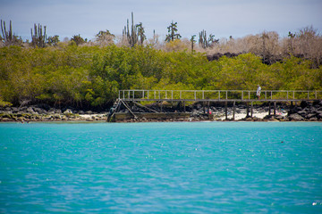Santa Cruz Island pier from the water