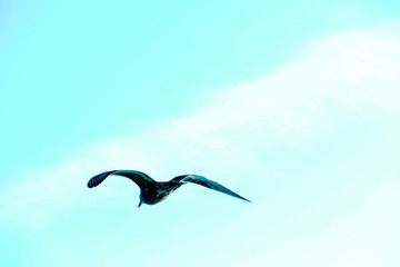 Wilmington, North Carolina,USA,September,2019,Wrightsville Beach North Carolina