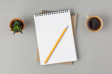 two notebooks with a spring on a gray background with a pencil