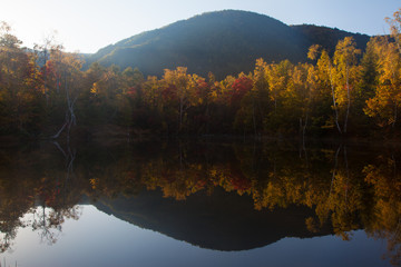 Fototapeta premium 朝日で輝く紅葉とその風景の湖面の映り込みが美しい