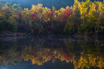 朝日で輝く紅葉と湖面は映える秋の色