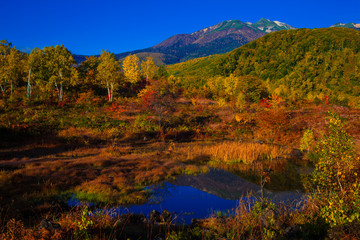 乗鞍高原から望む乗鞍岳と秋の紅葉の絶景