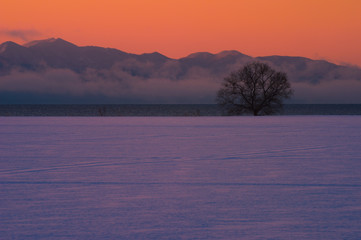 朝霧漂う湖畔の夜明けの風景（日本）