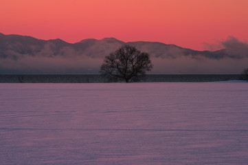 朝霧漂う湖畔の夜明けの風景（日本）