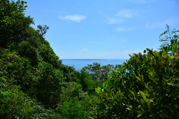 Fototapeta na wymiar 森から見える島