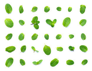 Set of fresh mint leaf top view isolated on white background.