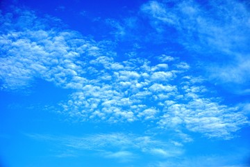 Fototapeta na wymiar Fluffy white cotton ball clouds against brilliant royal blue sky