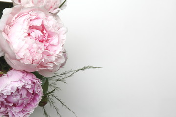 Peonies on the left hand side a white background.