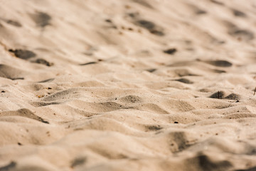 selective focus of wavy and golden sand in desert