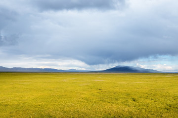 qinghai grassland scenery