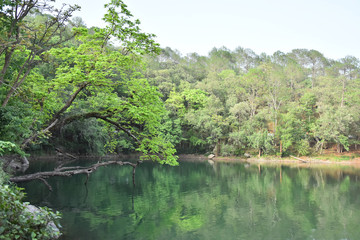 Lake