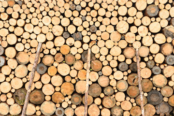 photo firewood