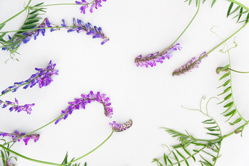 Baroque floral scrolls on a white background