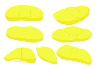 Durian fruit on white background  illustration vector 