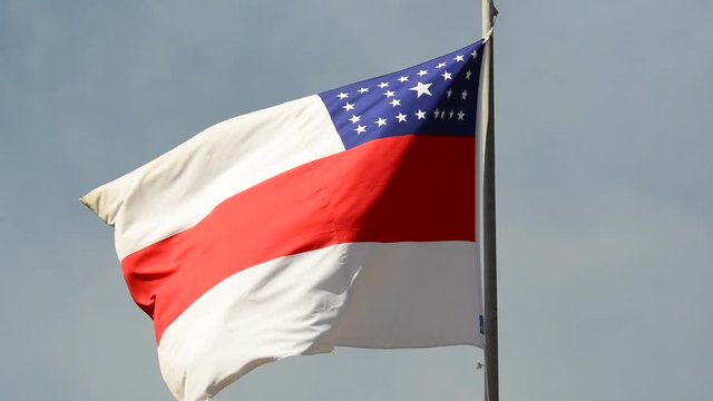 A beautiful view of Amazonas flag, estate of Brazil.