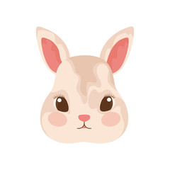 head of cute bunny with white background