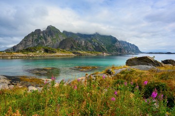 Viewpoint near Henningsvaer, mountains, sea, rocks and flowers during the cloudy sky at Lofoten island, Henningsvær, Norway
