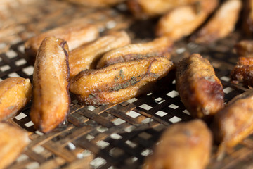 The fungus on dried bananas