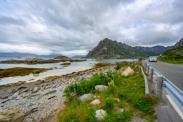 Lofoten Islands, Northern Norway, mountain views, sea and flowers on the roadside in summer cloudy day