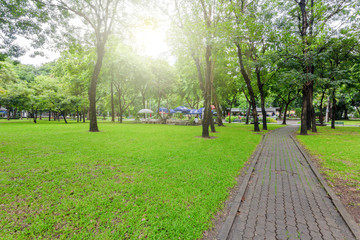 View of the nature park path on a bright day for tourists.